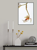 Arch Angle No1 Poster och Canvastavla