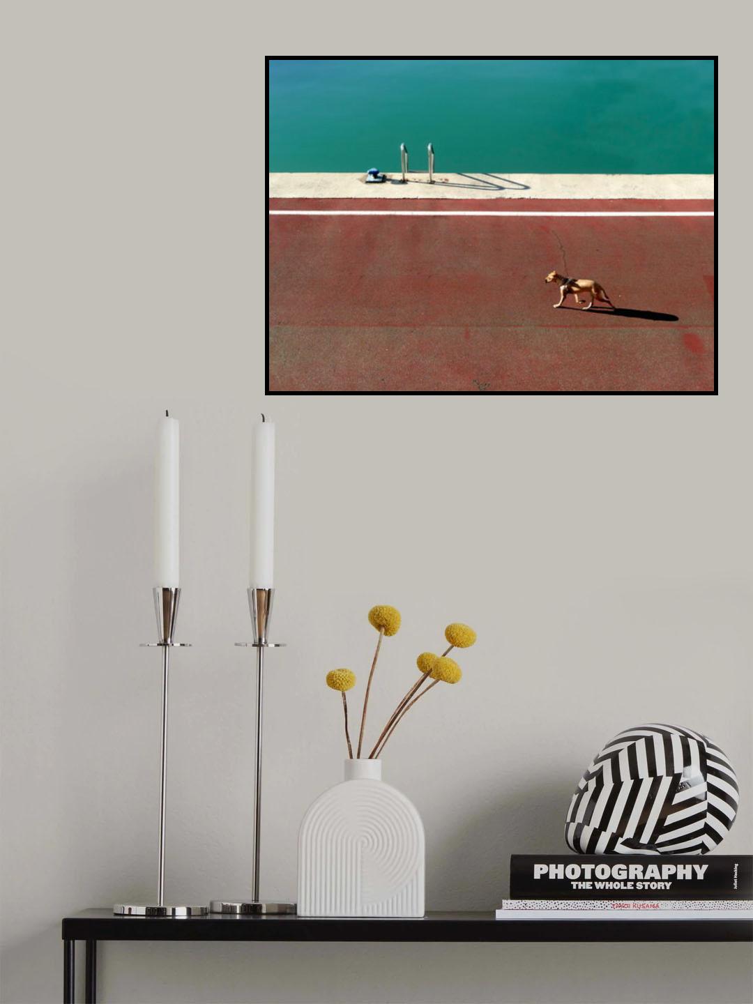 165/15 Poster och Canvastavla