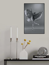 Phase of life Poster och Canvastavla