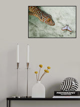 Predator Poster och Canvastavla