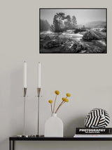 Foggy day Poster och Canvastavla