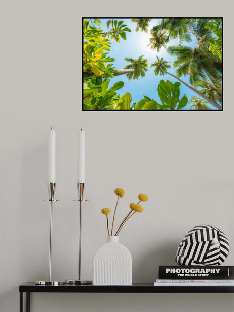 Tropical Up Poster och Canvastavla