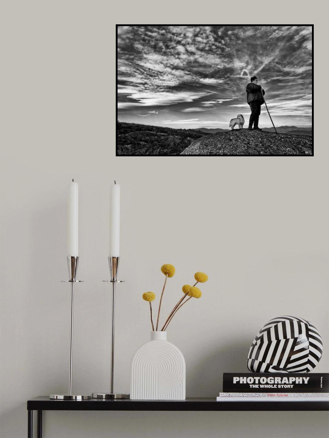 w/t Poster och Canvastavla