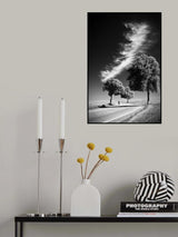 Long White Cloud Poster och Canvastavla