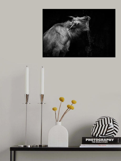 Give me water Poster och Canvastavla