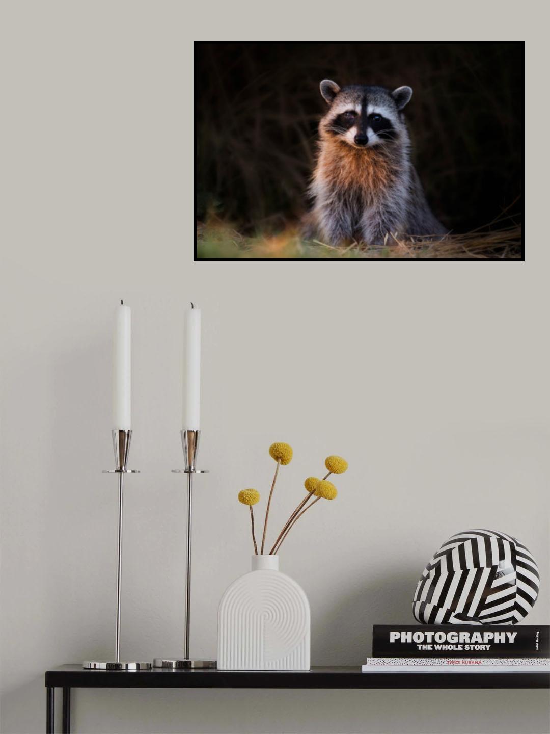 Woke up early Poster och Canvastavla