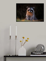 Woke up early Poster och Canvastavla