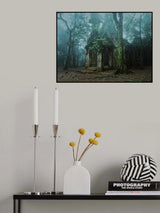 Forgotten place Poster och Canvastavla