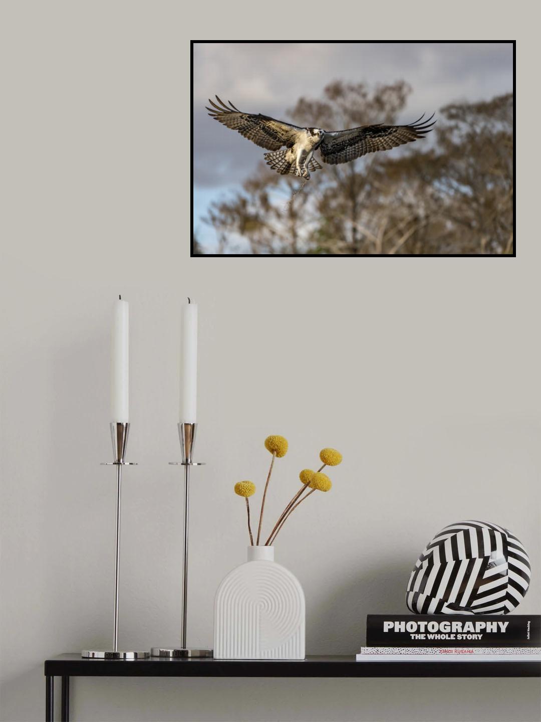 Morning Flight ! Poster och Canvastavla