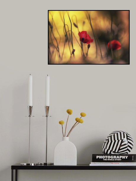 Poster och Canvastavla