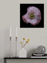 After the rain Poster och Canvastavla
