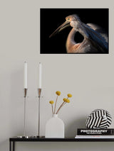 The Pelican Philosopher... Poster och Canvastavla