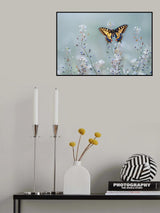 Swallowtail beauty Poster och Canvastavla