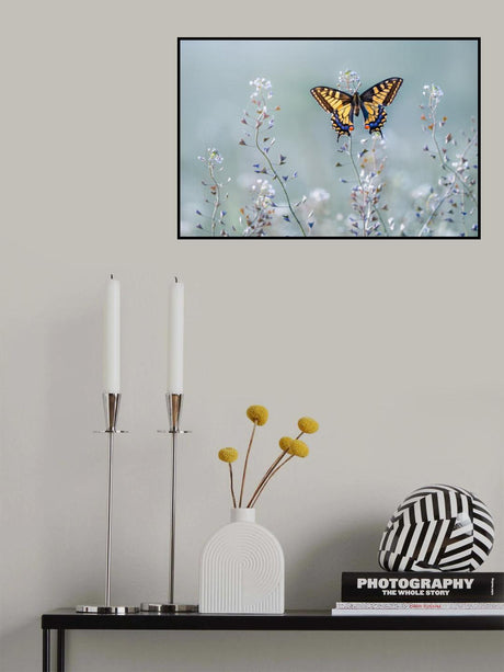 Swallowtail beauty Poster och Canvastavla