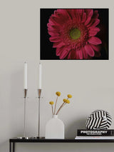 beautiful flower Poster och Canvastavla