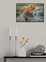 Freeze Of Action Poster och Canvastavla