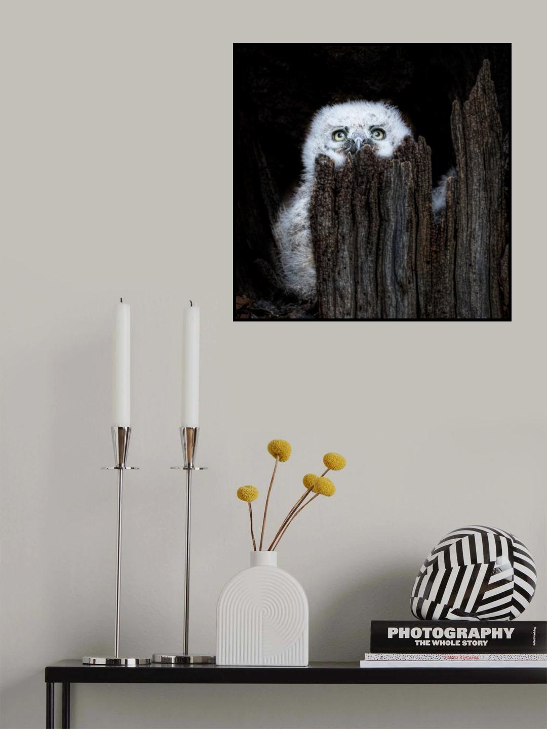 Scared Poster och Canvastavla