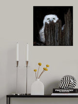 Scared Poster och Canvastavla