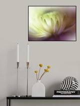 Dance in the Light.. Poster och Canvastavla