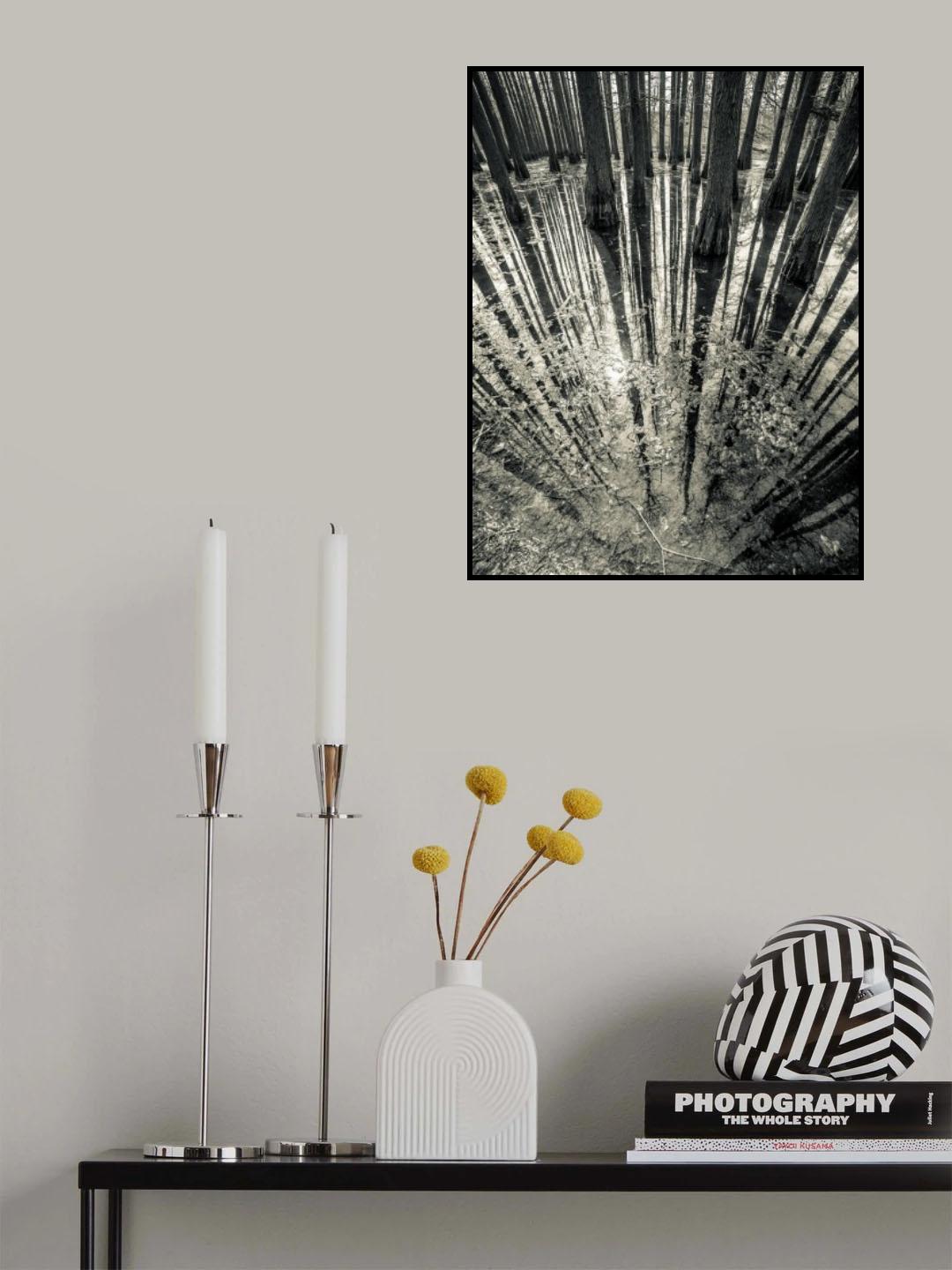 Synchronicity Poster och Canvastavla