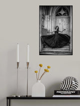 The Rebel Princess Poster och Canvastavla
