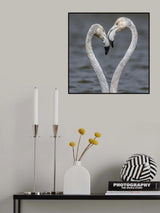 LOVE Poster och Canvastavla