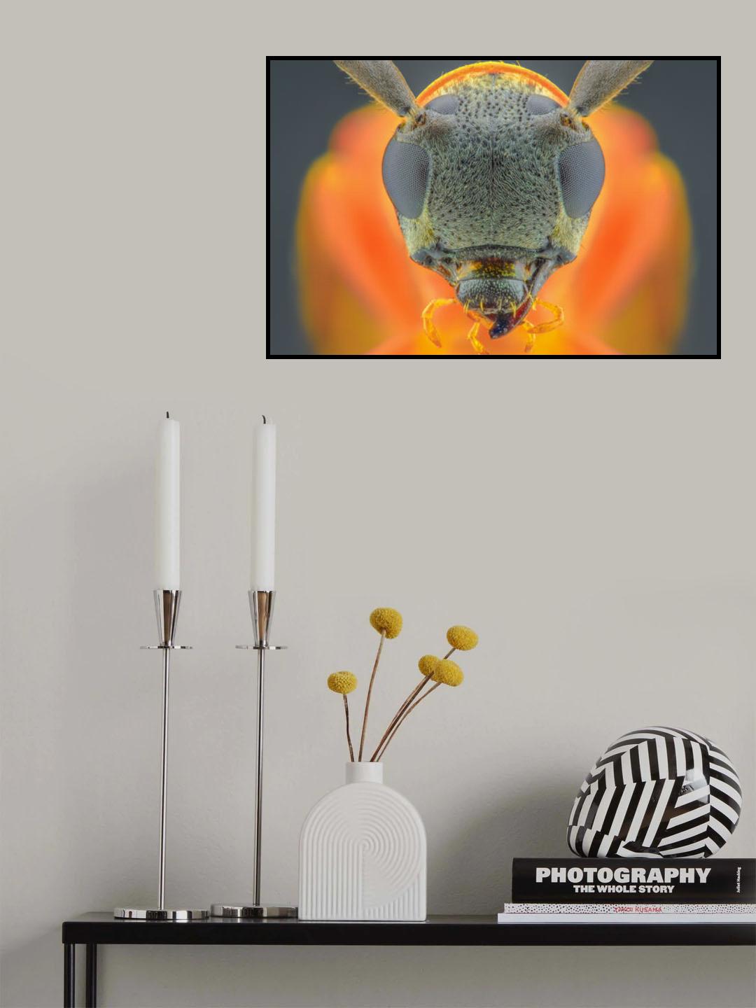 Orange LHB Poster och Canvastavla
