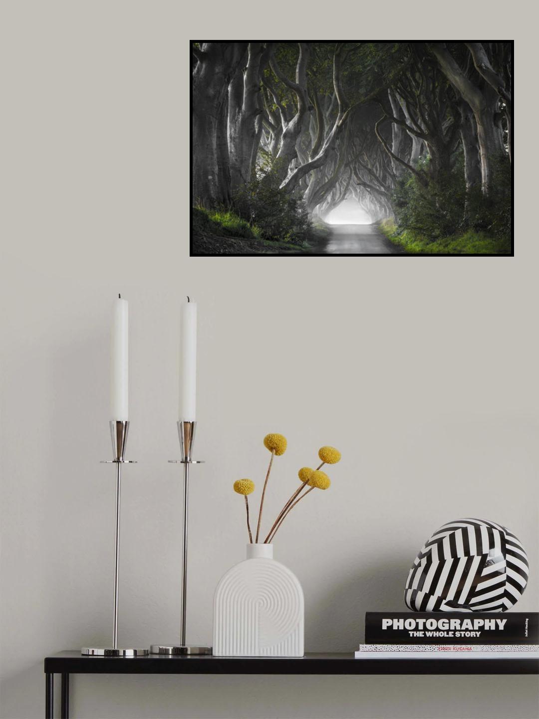 DARK HEDGES Poster och Canvastavla