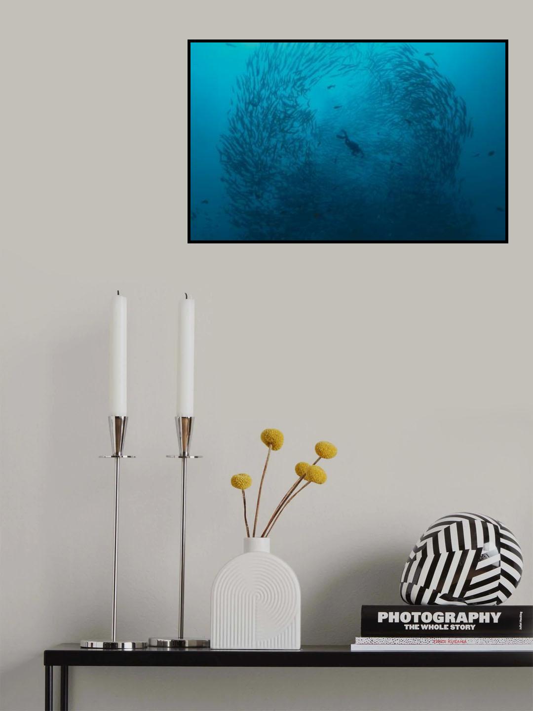 Fishschool Poster och Canvastavla