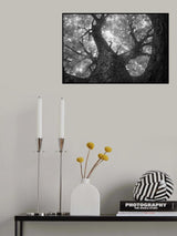 Hug of the tree Poster och Canvastavla
