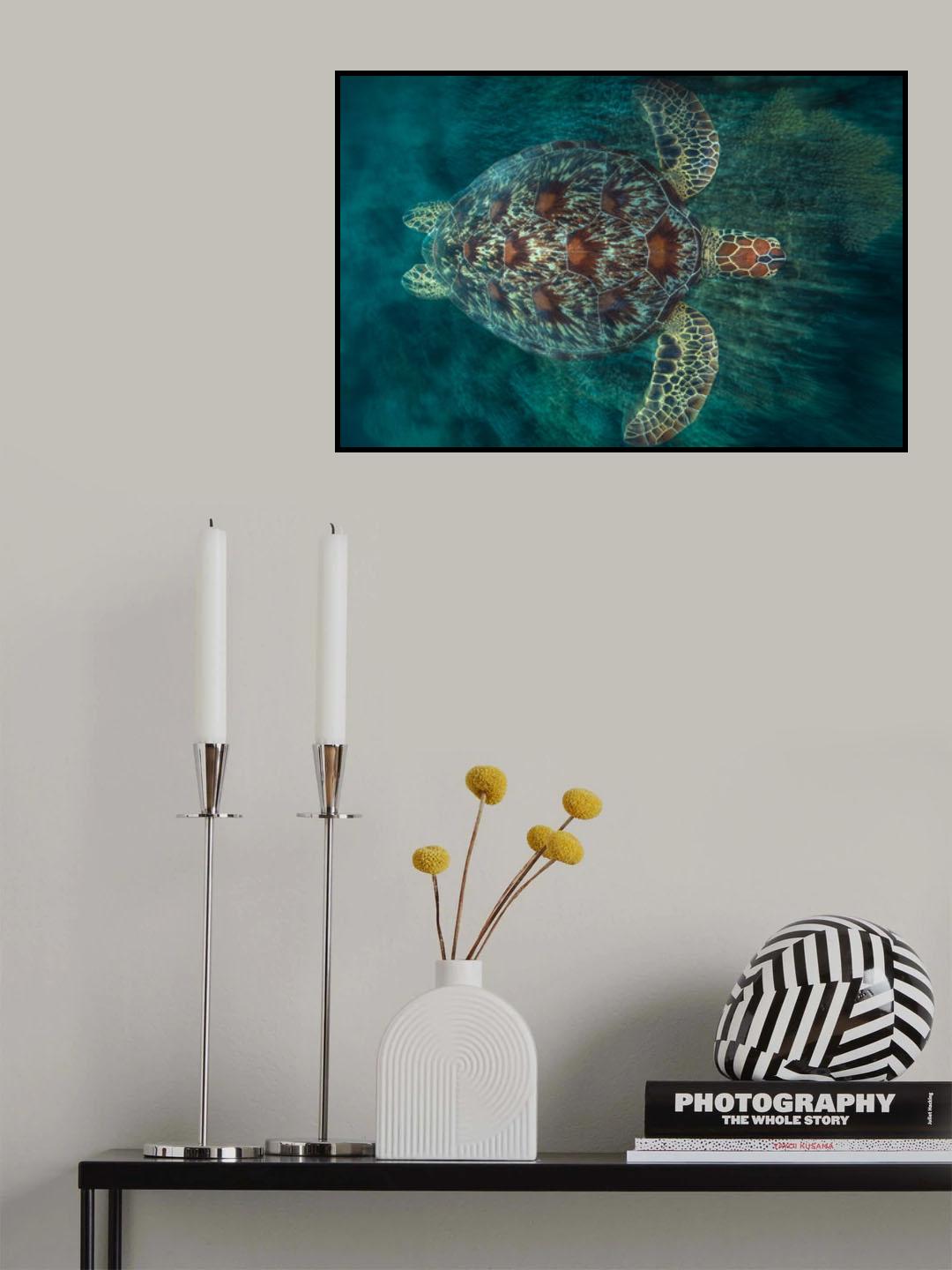 Green Turtle Poster och Canvastavla