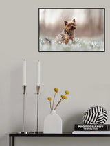 Odly Poster och Canvastavla