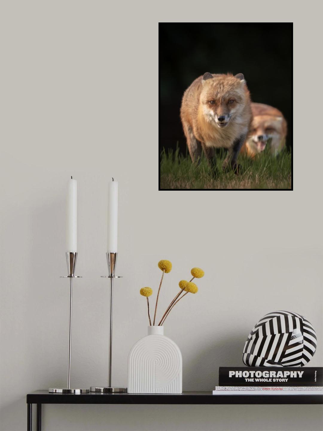 The Fox Couple Poster och Canvastavla