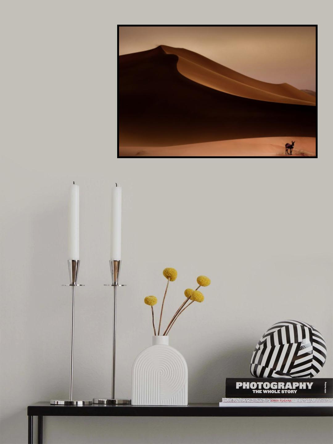 lost donkey Poster och Canvastavla