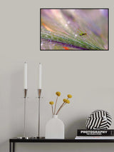 In the light and dew of the morning... Poster och Canvastavla