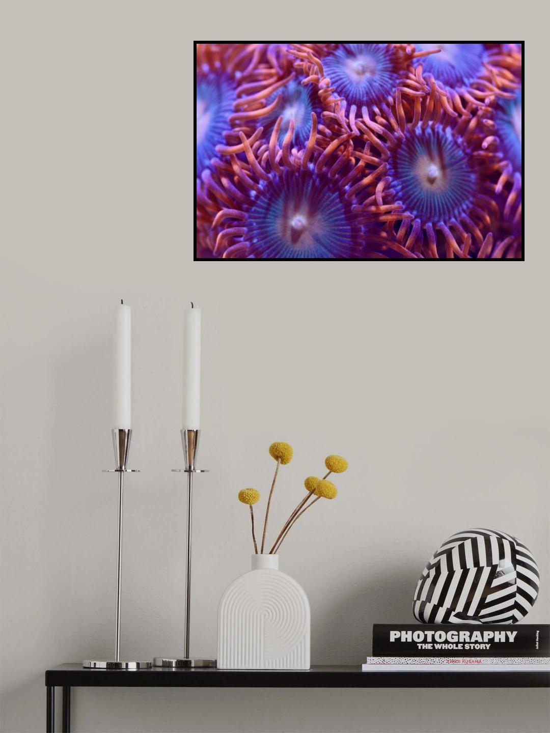 Entanglement Poster och Canvastavla
