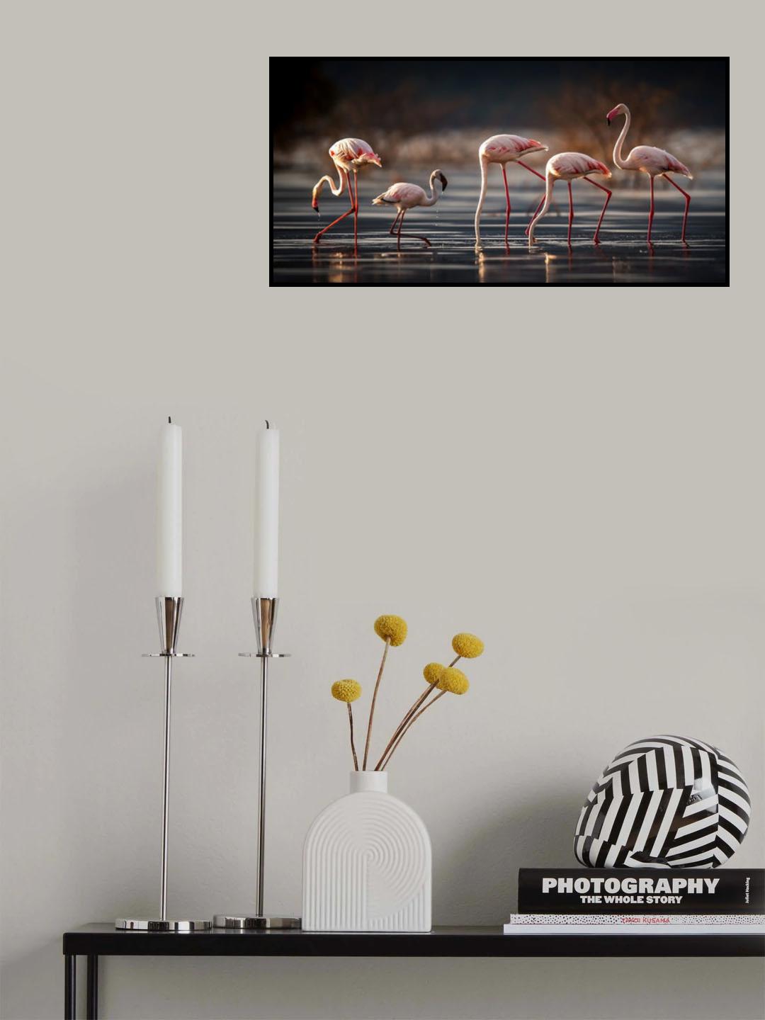 Foraging in the water Poster och Canvastavla