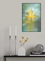 Reflections Poster och Canvastavla