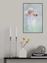 mushrooms and ladybug Poster och Canvastavla