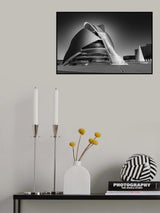The Warrior Poster och Canvastavla