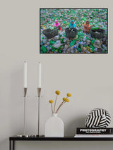 Sorting Bottles Poster och Canvastavla