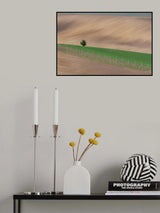 A lonely tree Poster och Canvastavla