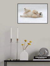 Having fun Poster och Canvastavla
