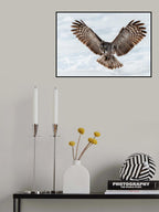 To catch Poster och Canvastavla