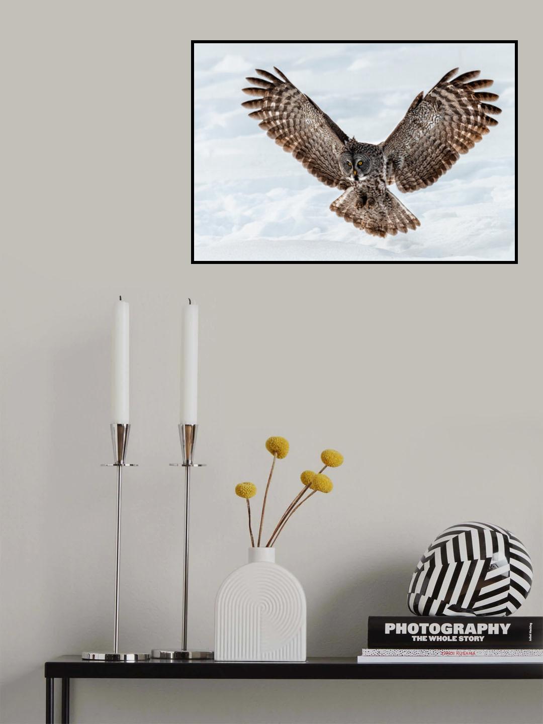 To catch Poster och Canvastavla