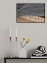 Brooms #3 Poster och Canvastavla