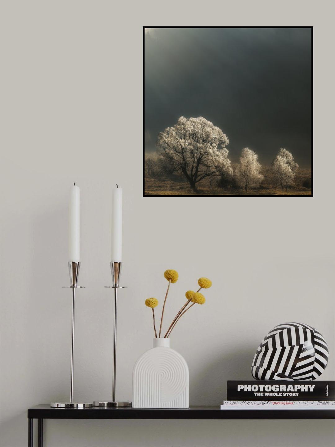 Brilliant Trees Poster och Canvastavla