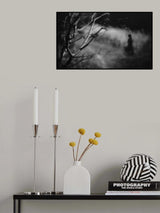Poster och Canvastavla