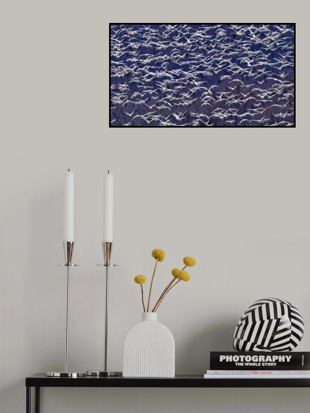 Snow Geese Poster och Canvastavla
