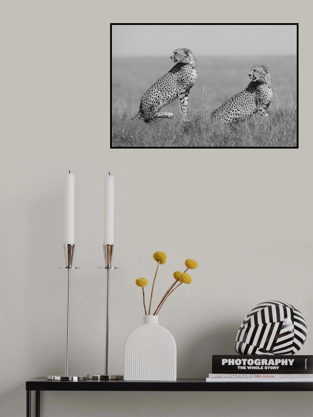 What's going on here around? Poster och Canvastavla